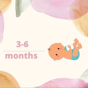 3-6 month section